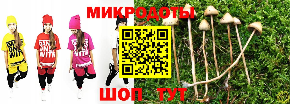 Псилоцибиновые грибы прущие грибы  Псилоцибиновые грибы Cubensis  Холмск  Вход с VPN 