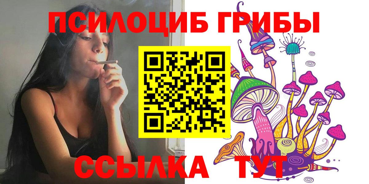 Псилоцибиновые грибы GOLDEN TEACHER Холмск